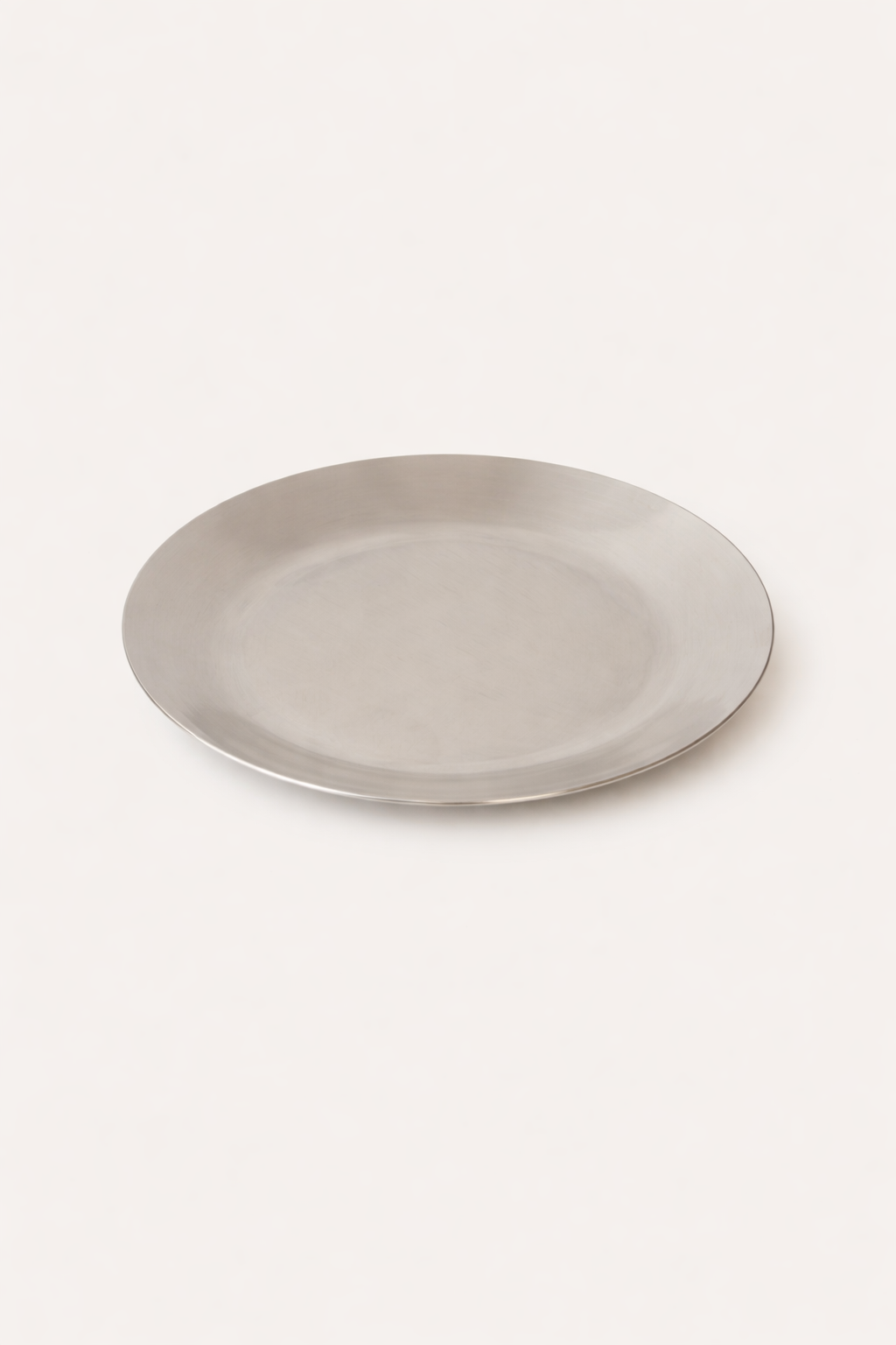 Fuji Steel Dinner Plate, Set of 2