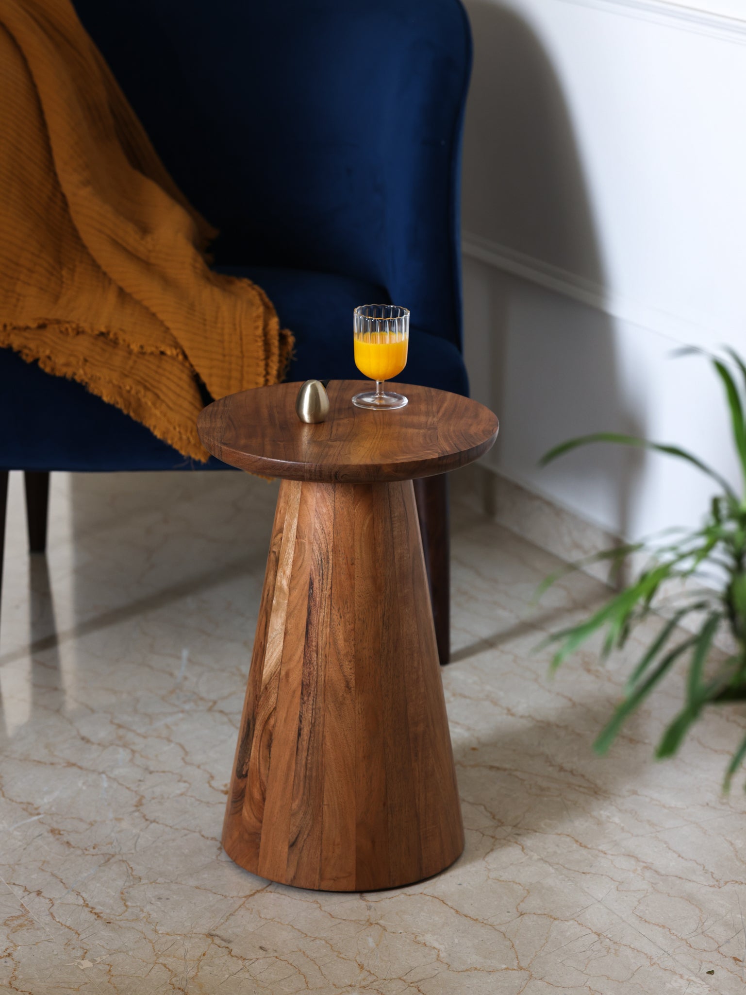 Conifer Acacia Wood Side table