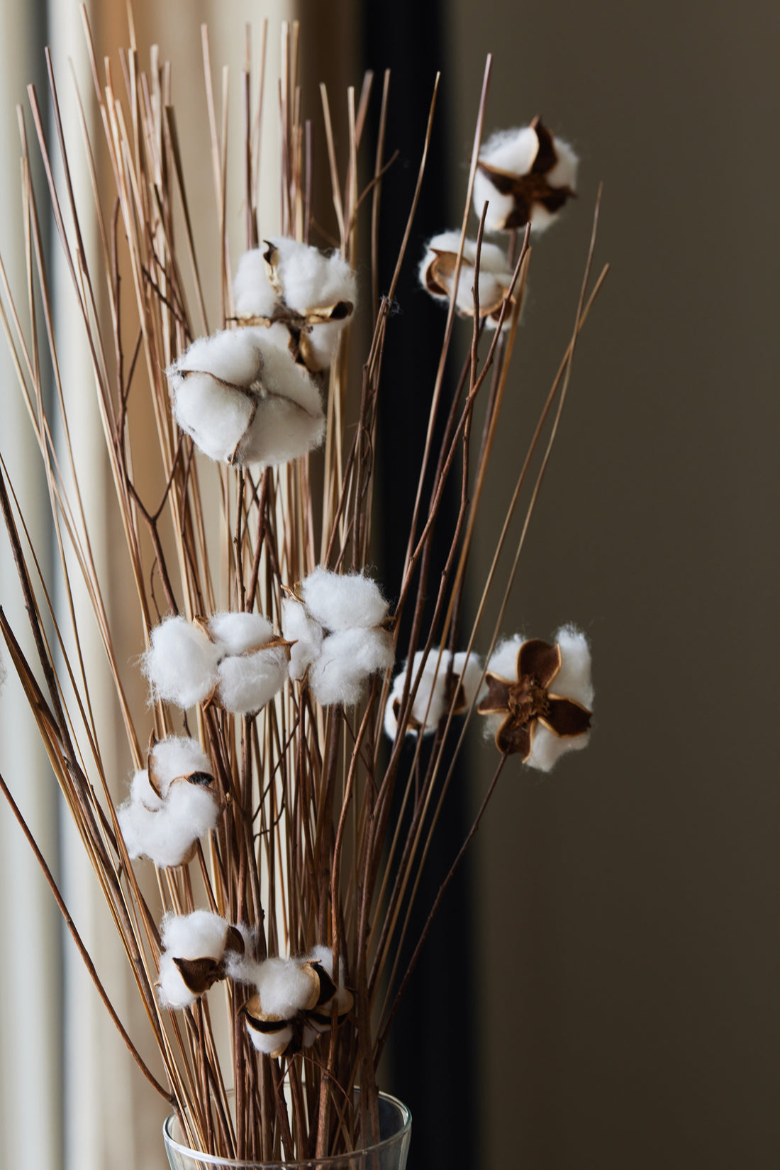 Cotton Flower Bunch.