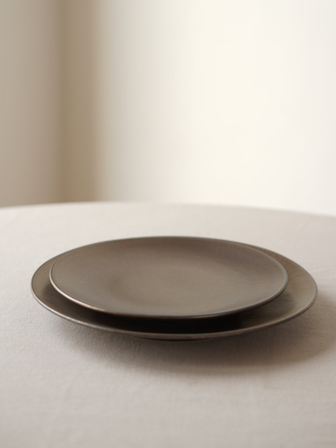 Fuji Ceramic Dinner Plate, Set of 2