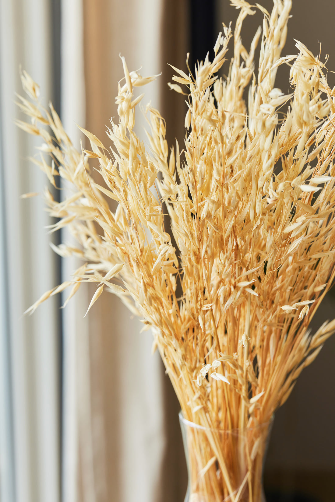 Havana Grass Bunch Close up Detail