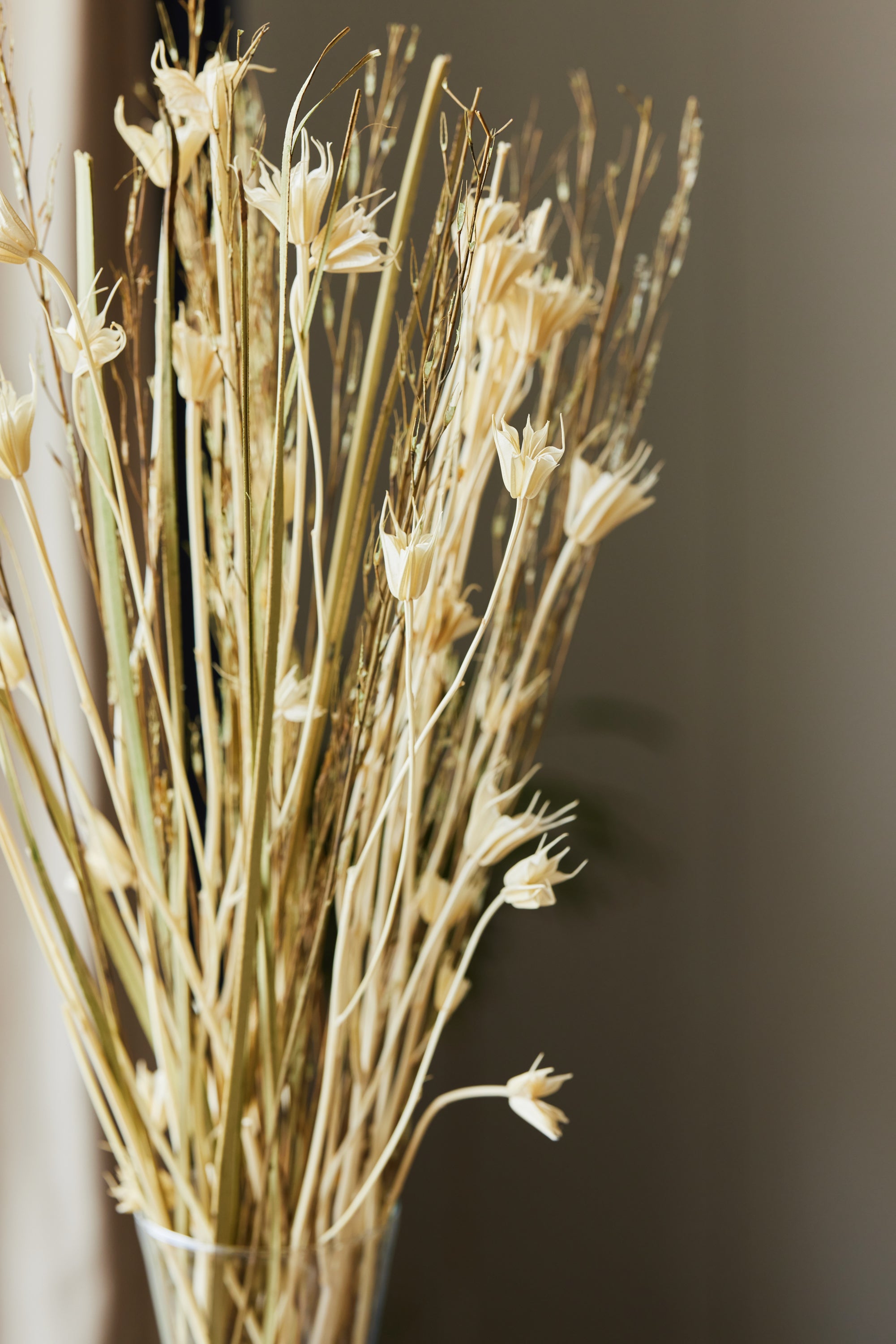 Nigella Flower Bunch Close up