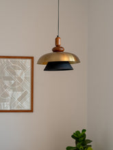 Pendent Lamp for living room.