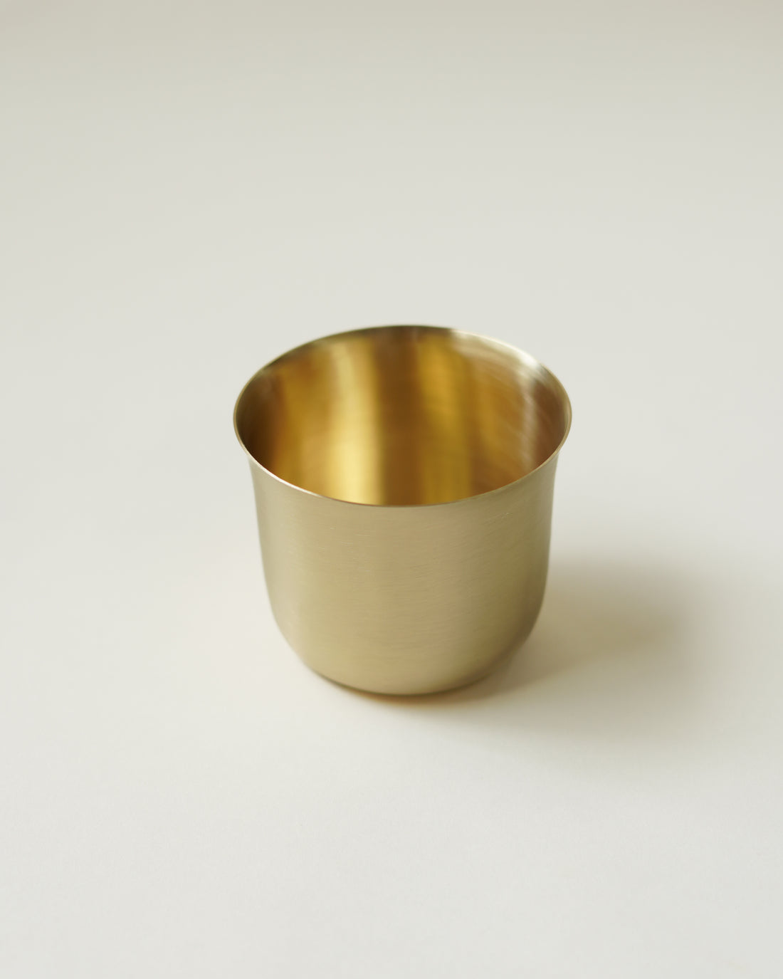 Turtle Brass Tumbler , Set of 2