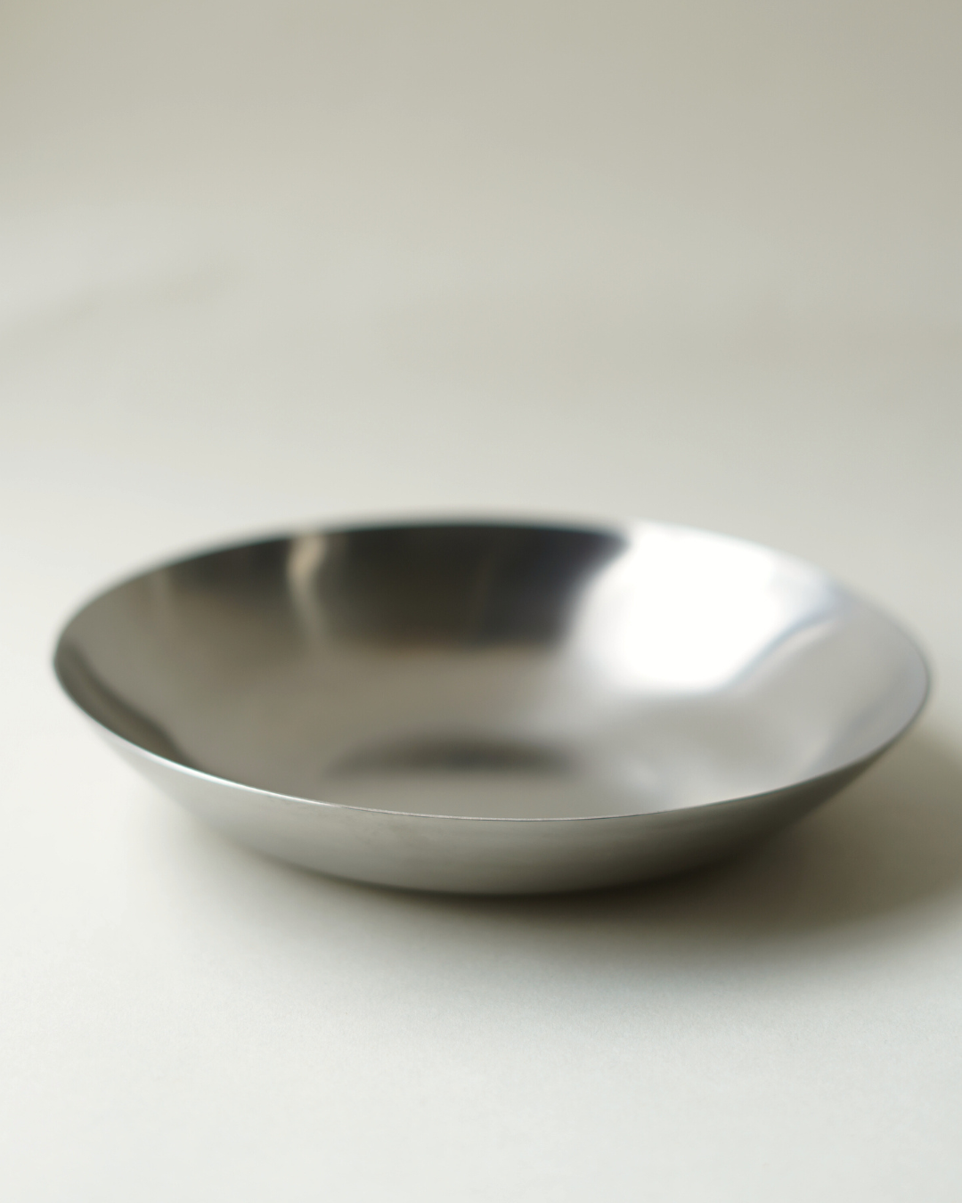 Fuji Stainless Steel Pasta Plate, Set of 2