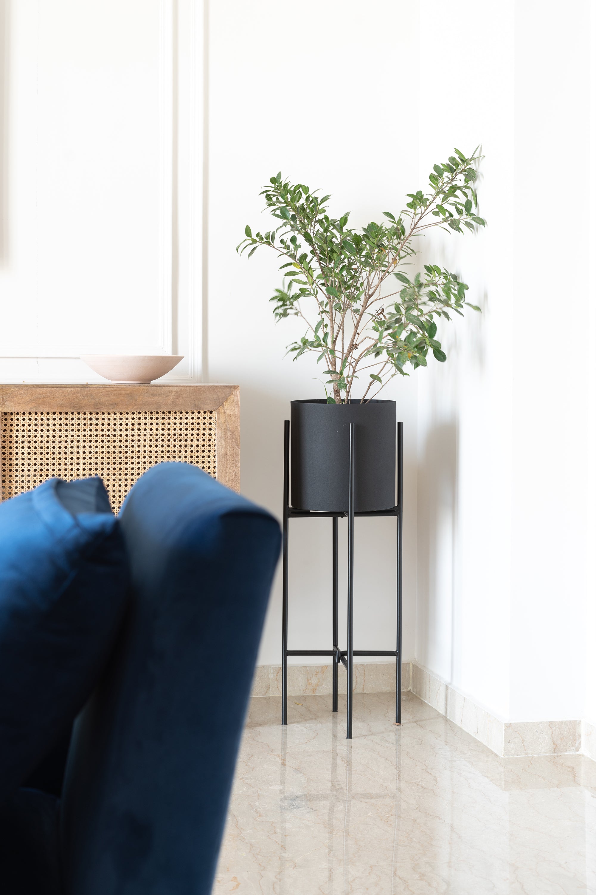 Black Dust Floor Indoor Planters - Fleck