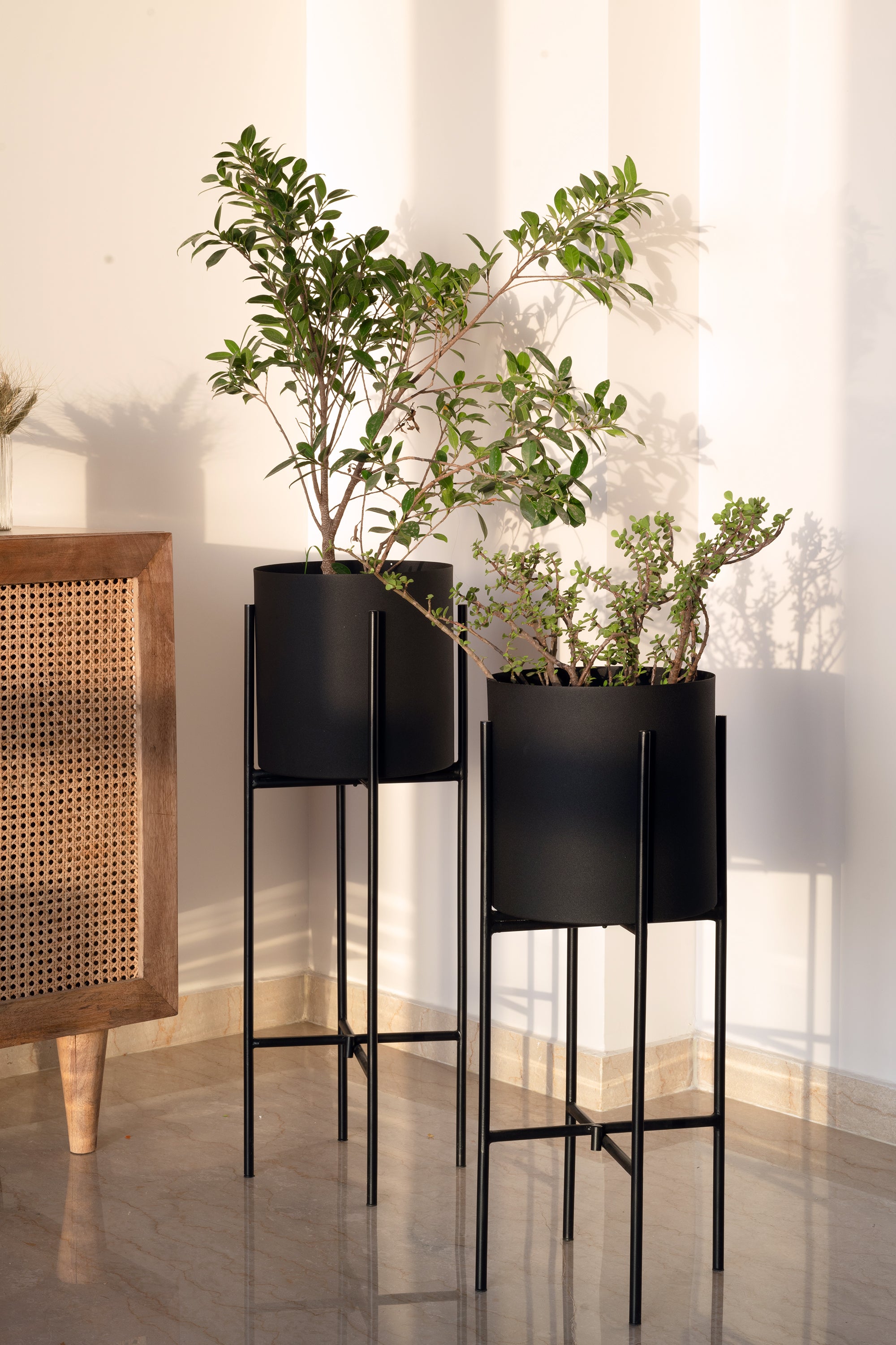 Black Dust Floor Indoor Planters - Fleck