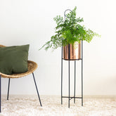Marigold copper planters in a living  room with fern plant