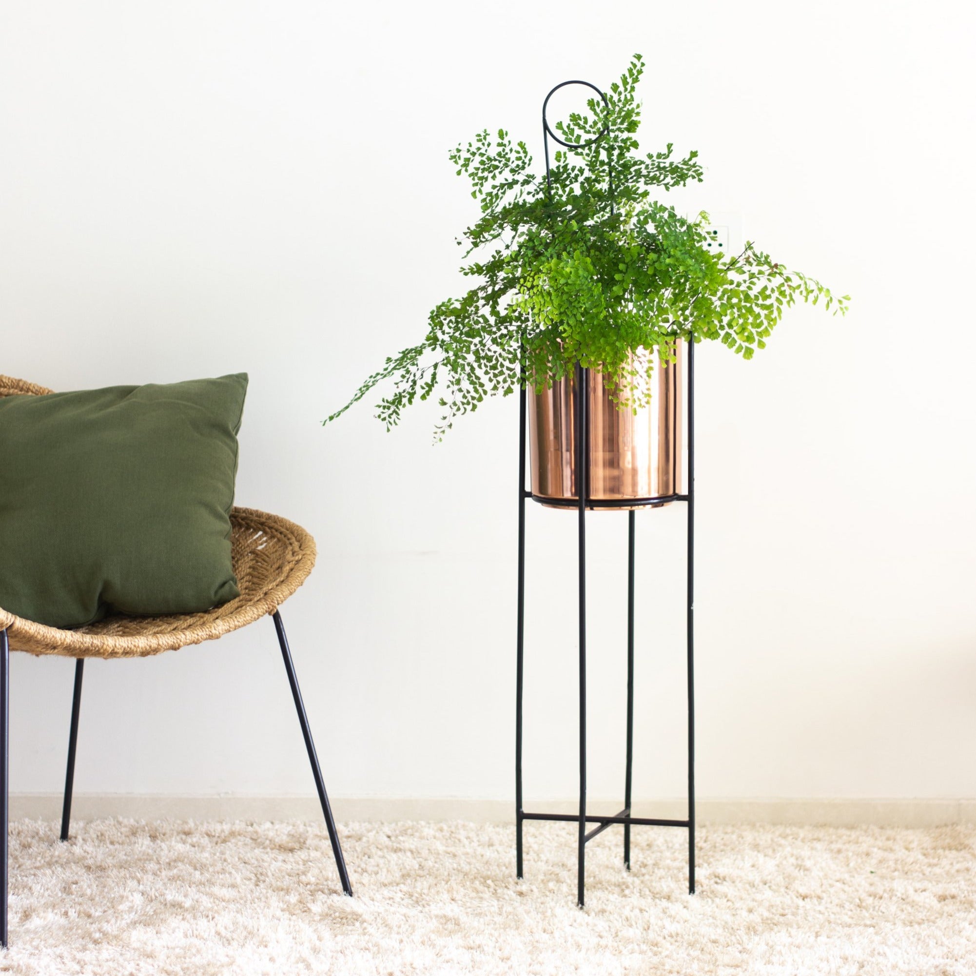 Marigold copper planters in a living  room with fern plant