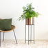 Marigold copper planters in a living  room with fern plant