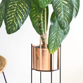 Marigold copper planters in a living  room with dumb cane plant