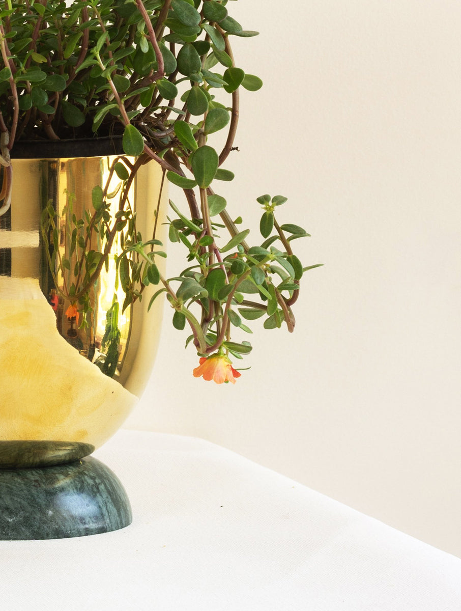 Heirloom Brass Planter - Fleck