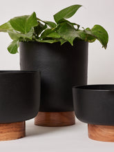 decorative planters for living room