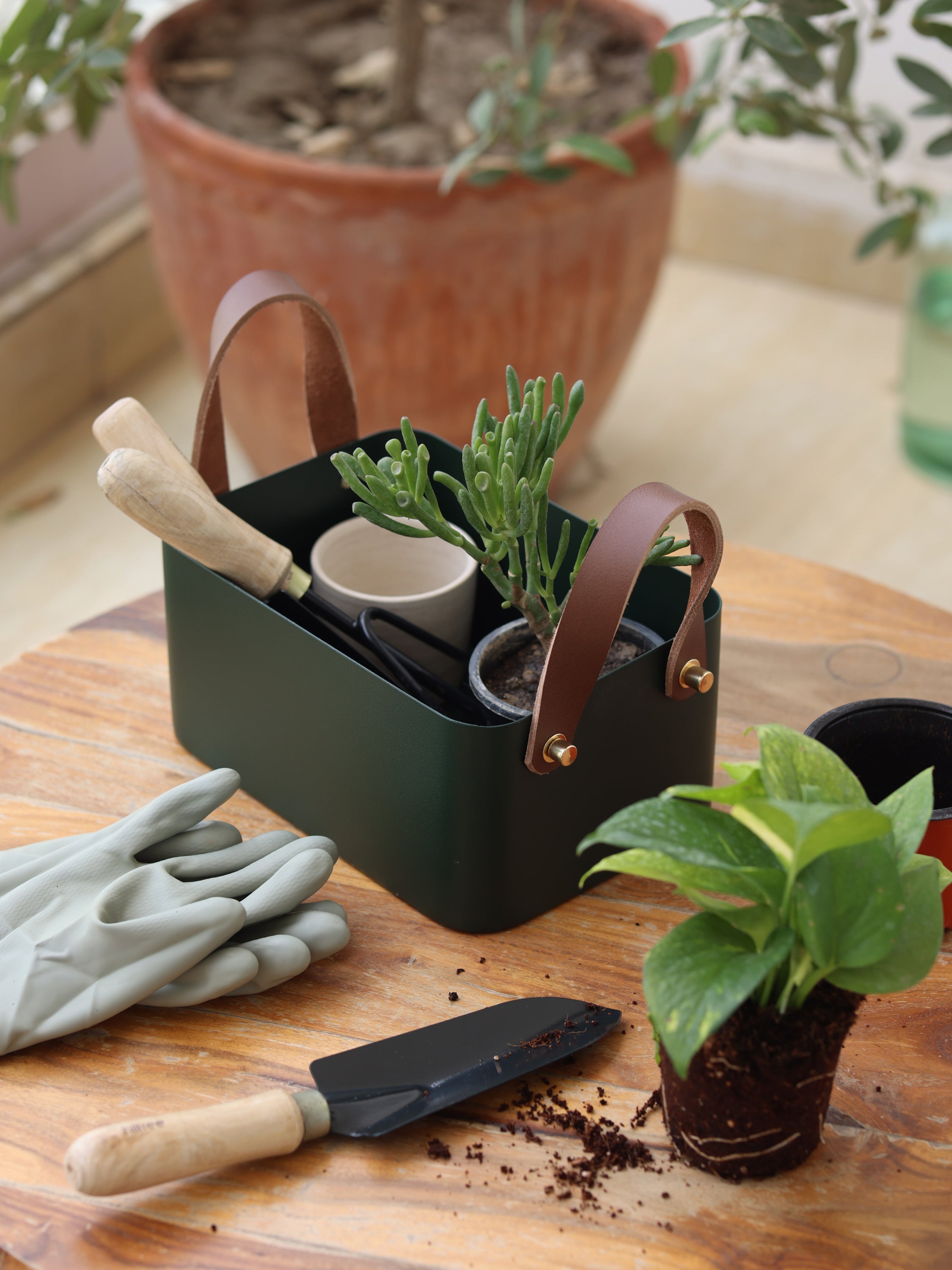 Rectangle Basket - Forest Green, Small - Fleck