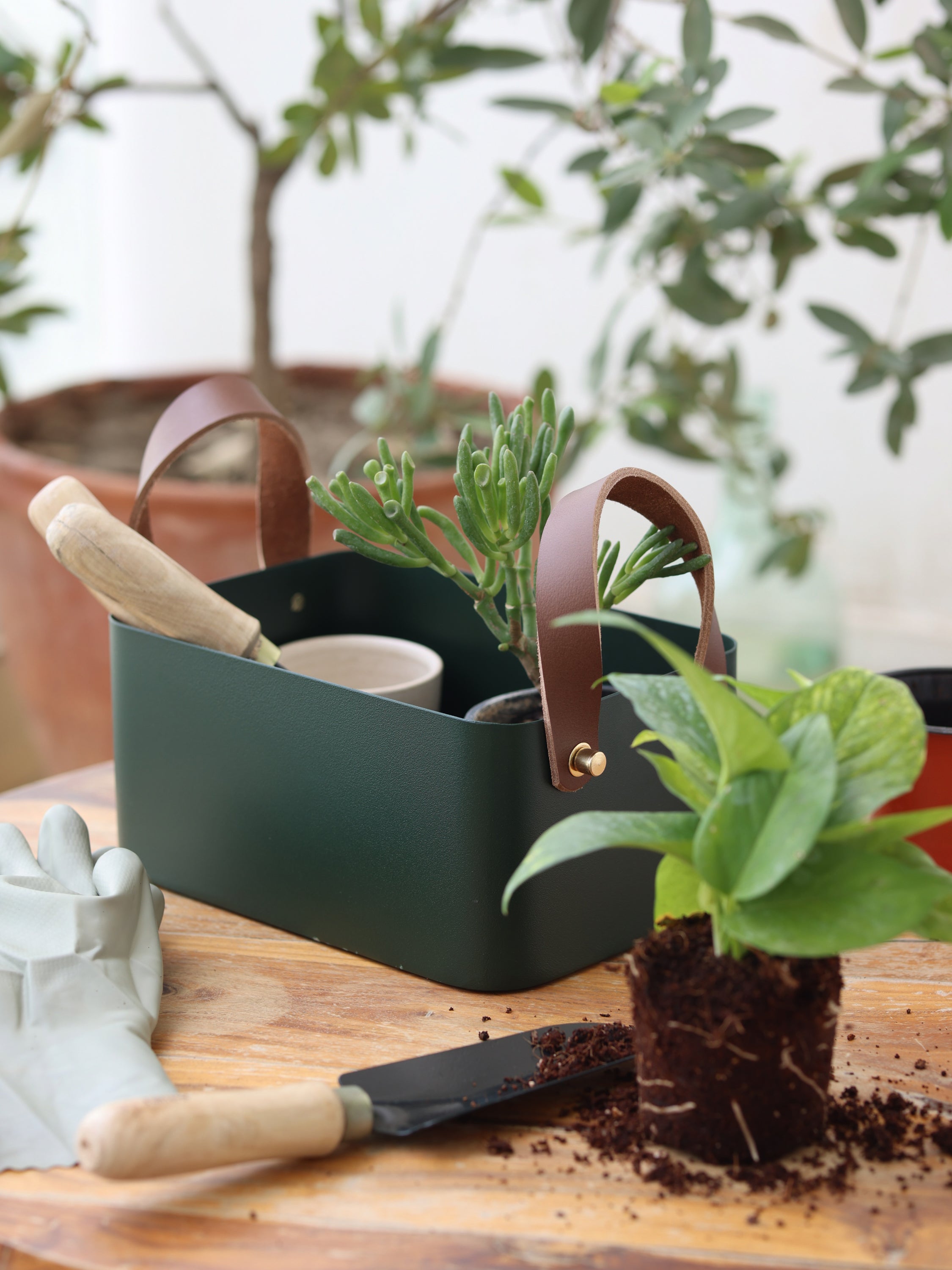 Rectangle Basket - Forest Green, Small - Fleck