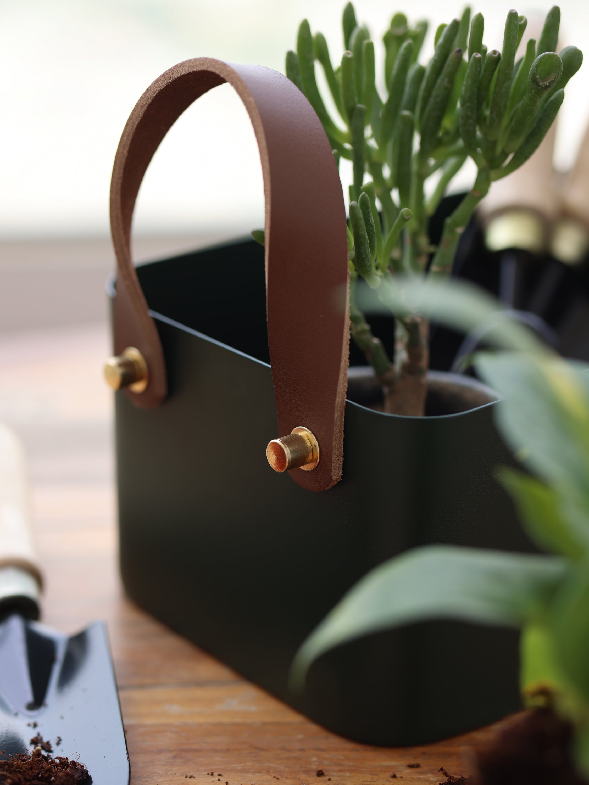 Rectangle Basket - Forest Green, Small - Fleck