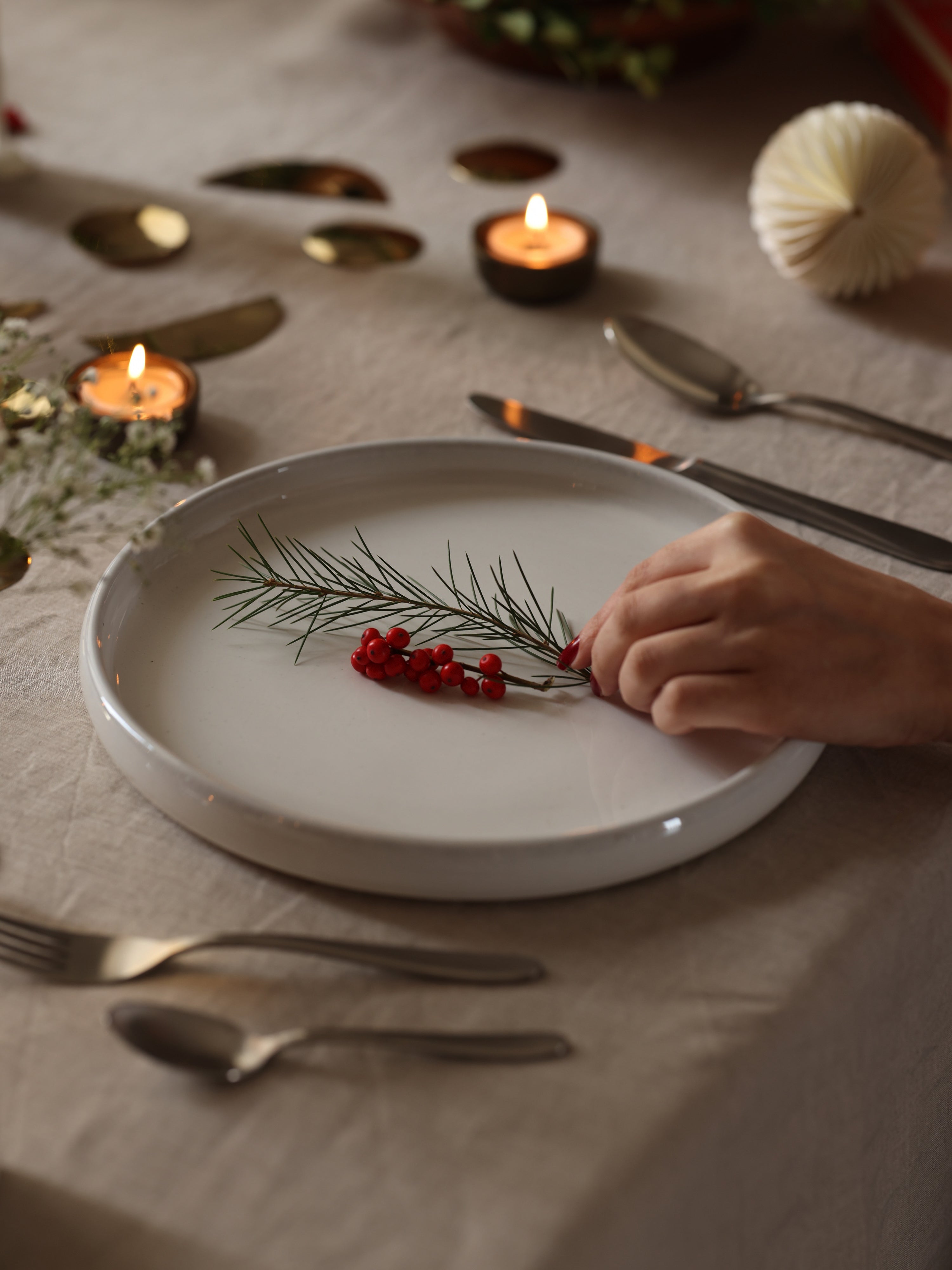 Ceramic dinner plate for everyday use.