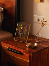 Small Photo Frames, Brass & Glass
