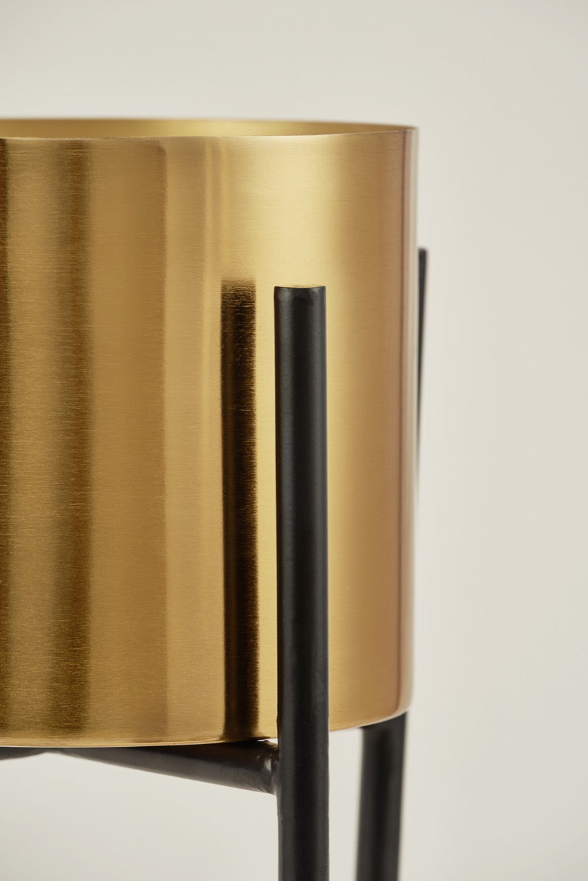 Black and gold planter for home decor.