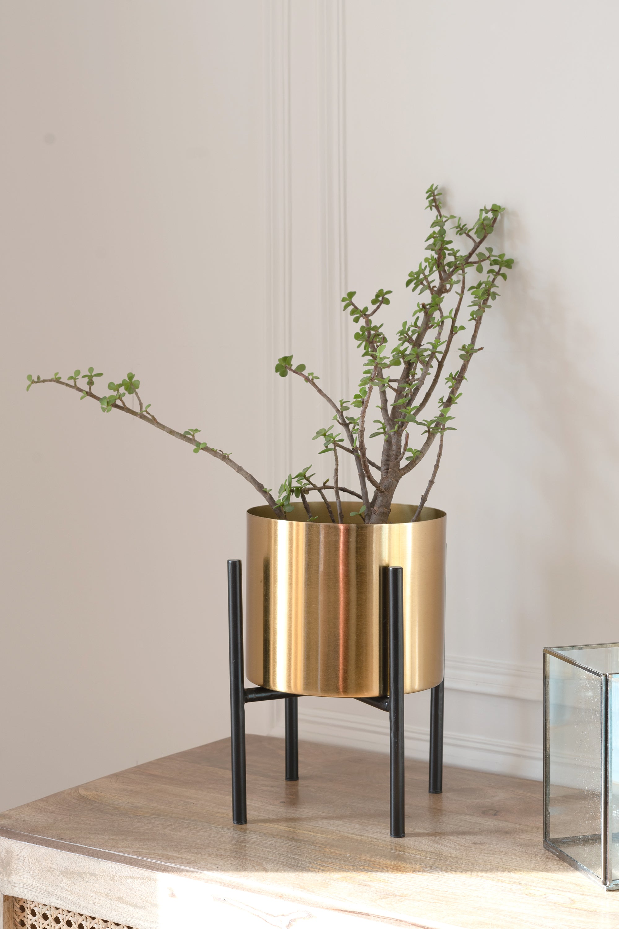 Small golden planter for decor.