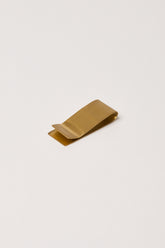 fleck brass money and paper clip
