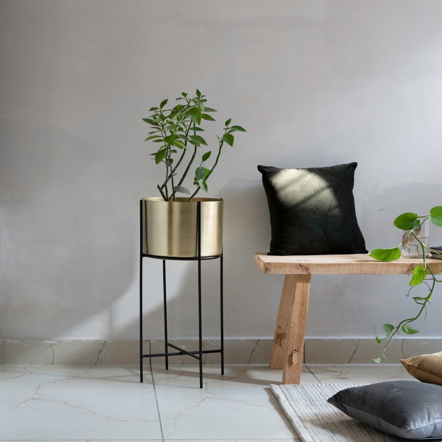 Marigold Planter, Stout, Matte gold - Fleck