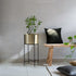 Marigold Planter, Stout, Matte gold - Fleck