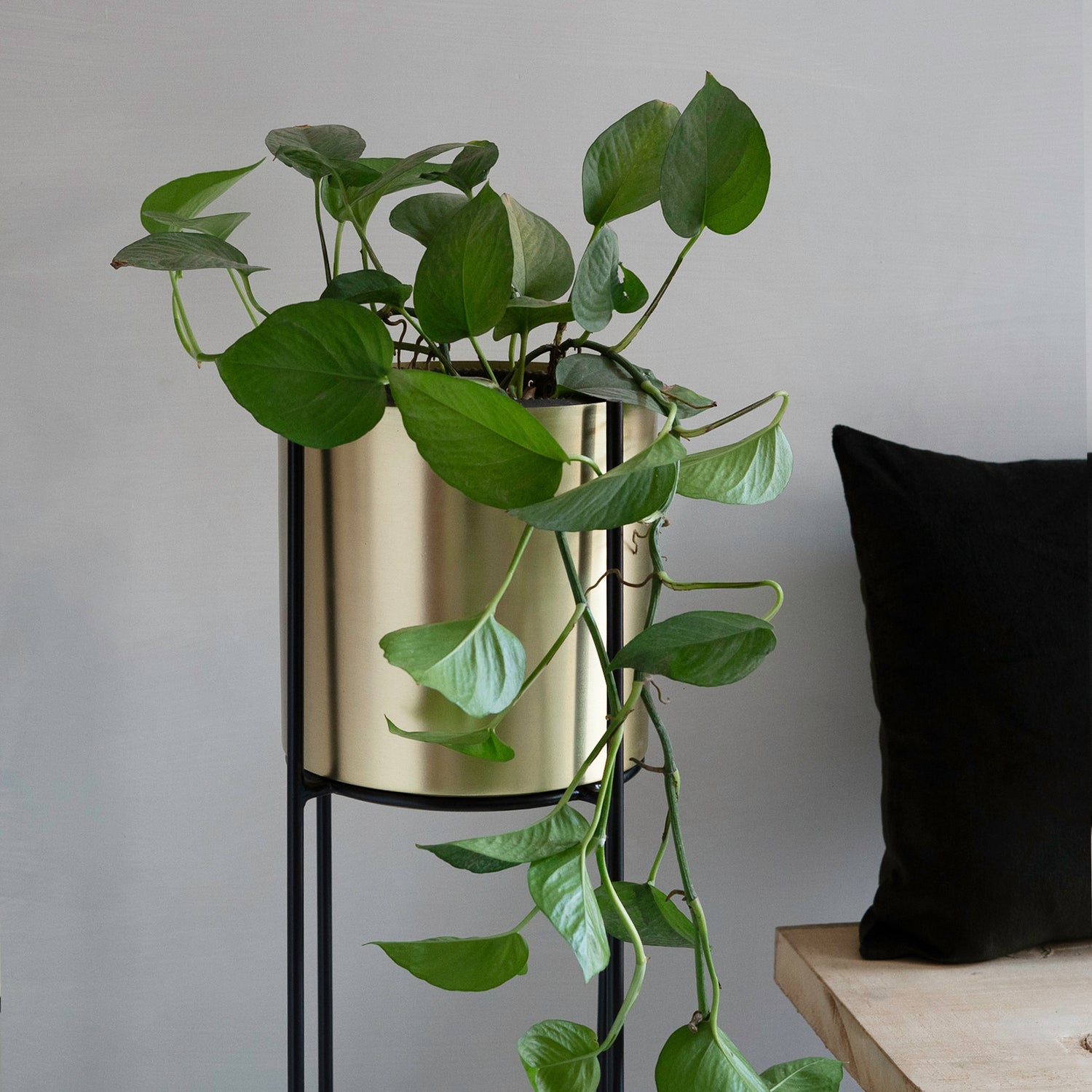 Marigold Planter, Tall, Matte gold - Fleck