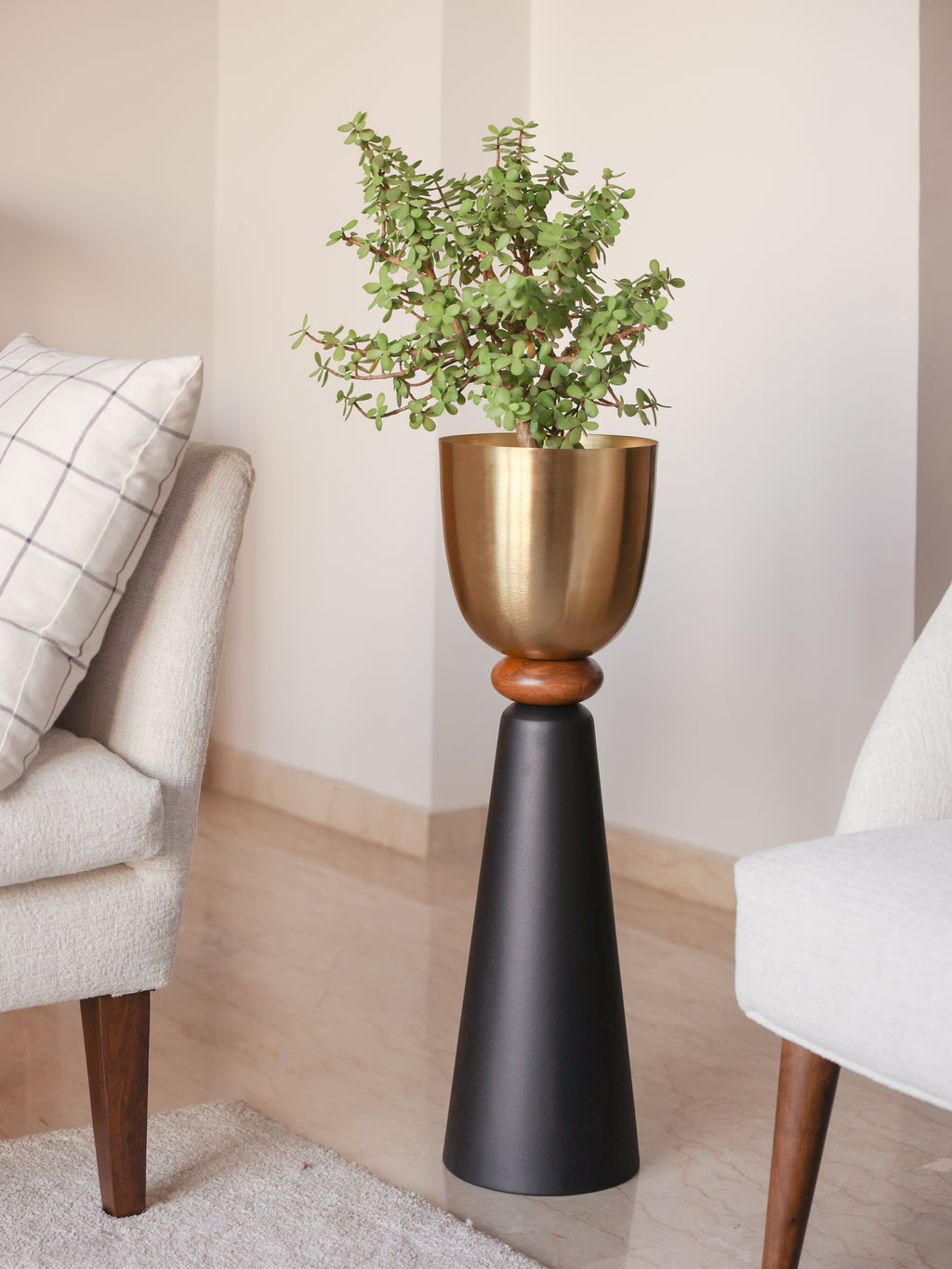 Perisi Planter, Mini