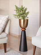 Perisi Planter, Mini