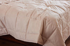 Blush Percale Box Comforter