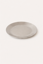 Fuji Steel Dinner Plate, Set of 2