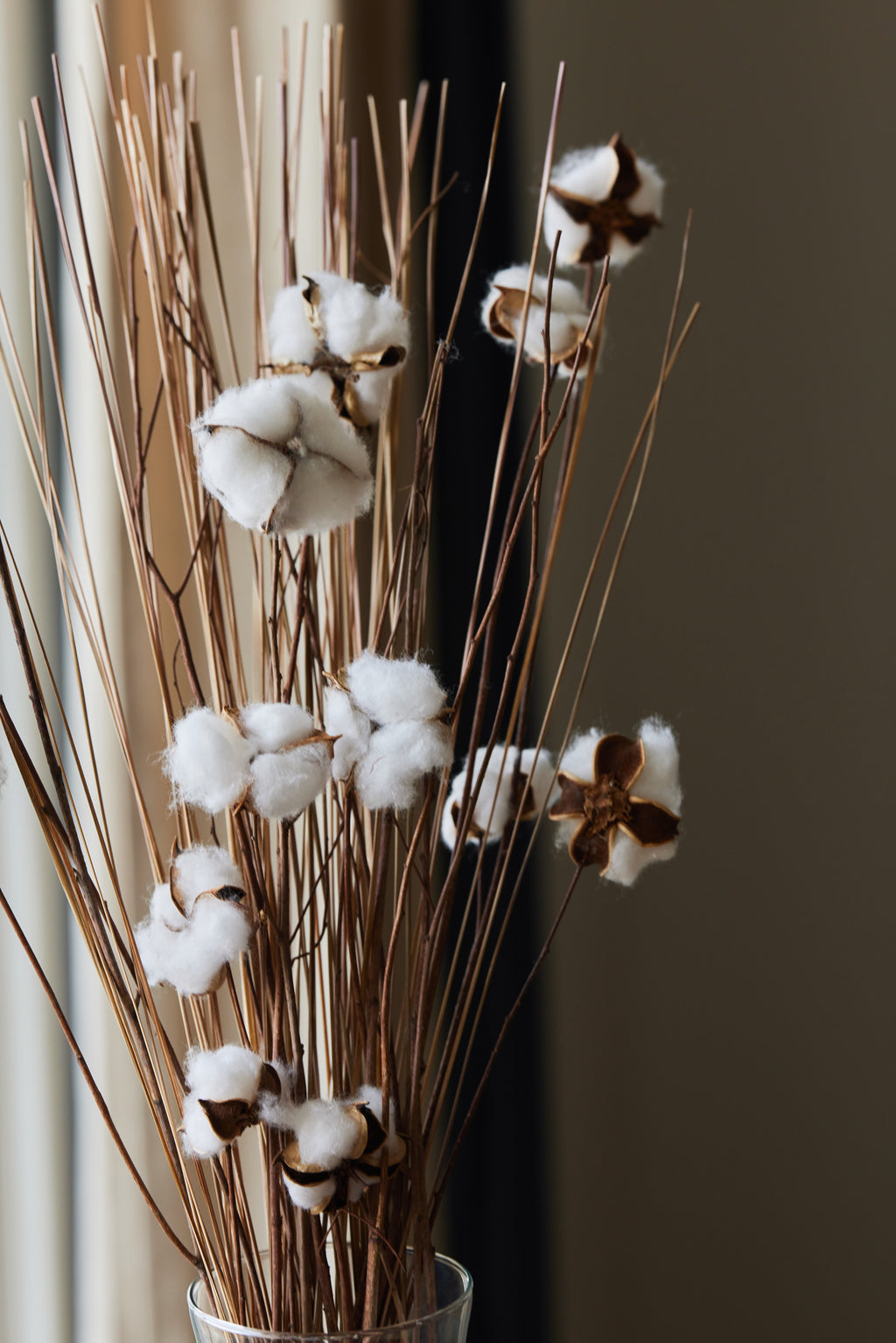 Cotton Flower Bunch.