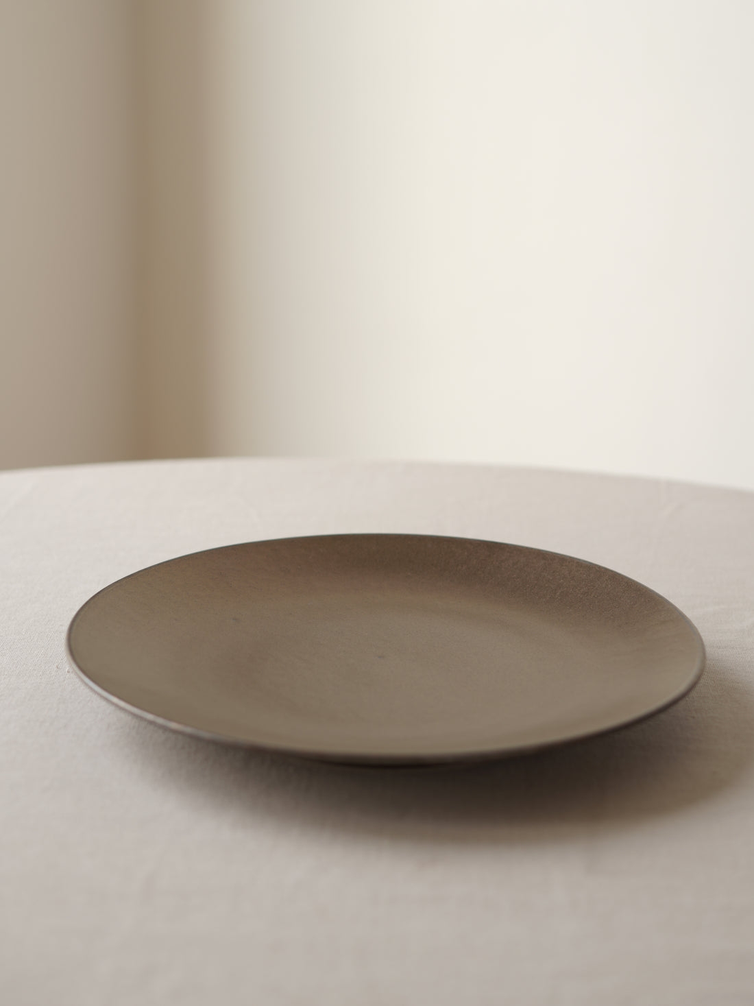 Fuji Ceramic Dinner Plate, Set of 2