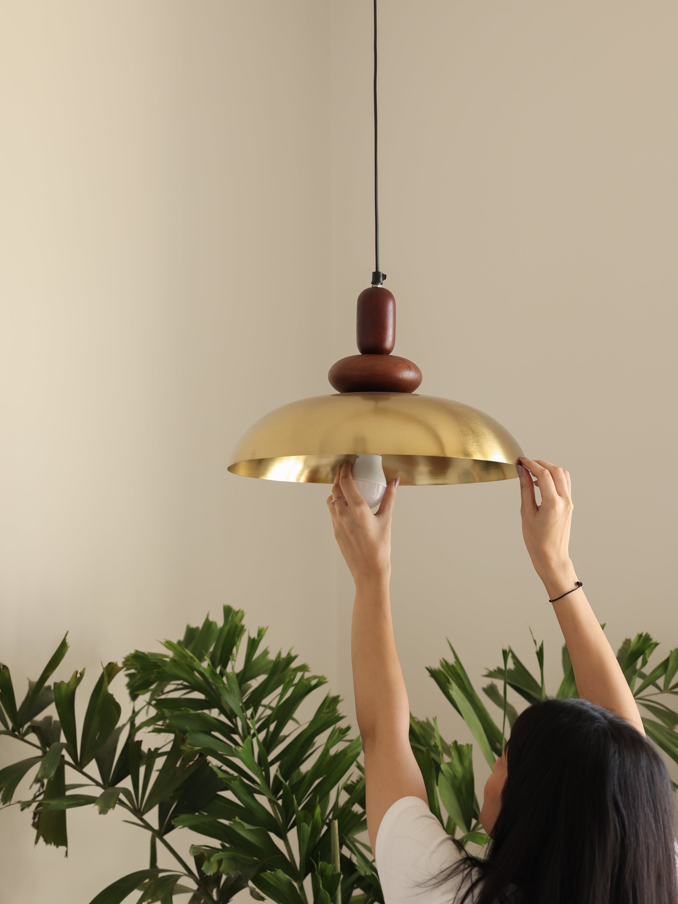 Popular Hanging Lamp