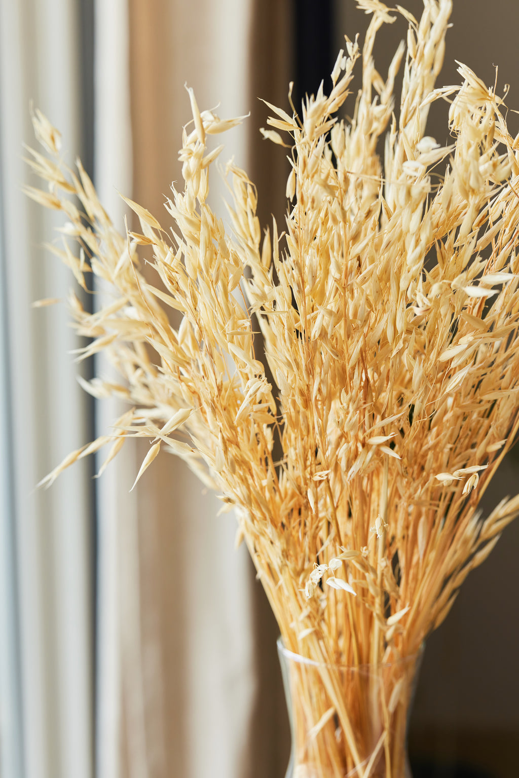 Havana Grass Bunch Close up Detail