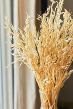 Havana Grass Bunch Close up Detail