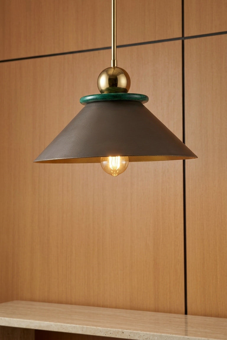 Modern pendant light with a dark shade and gold fixture on a wooden wall.