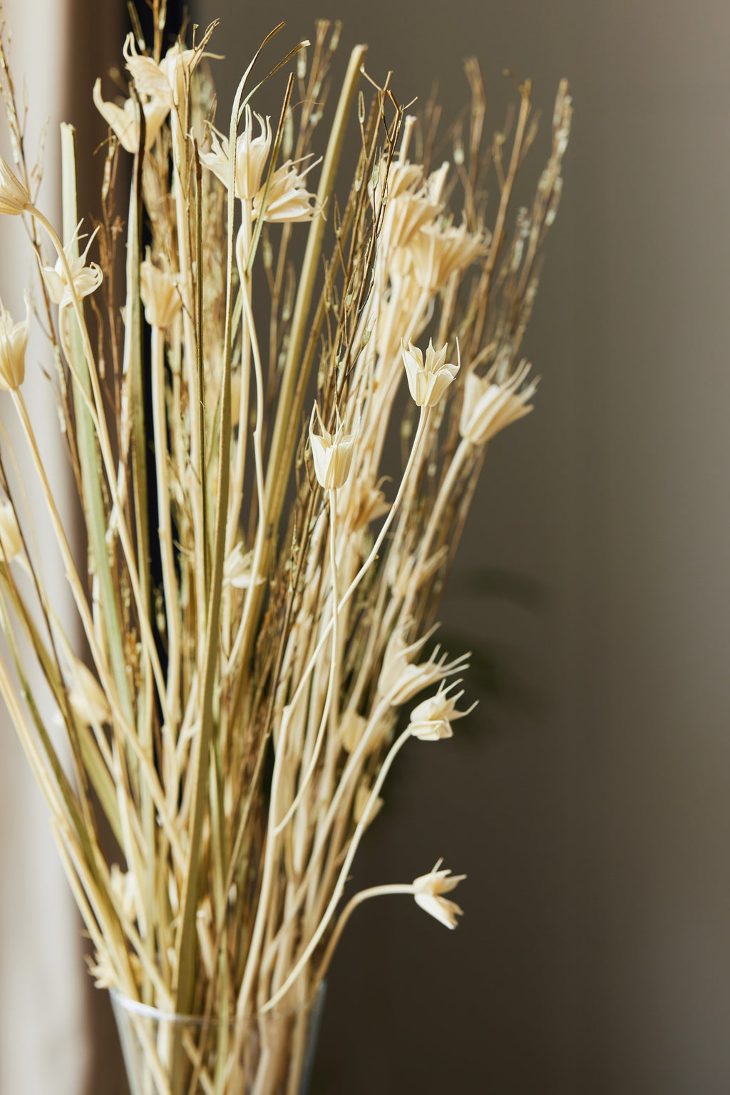 Nigella Flower Bunch Close up