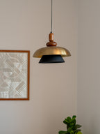 Pendent Lamp for living room.