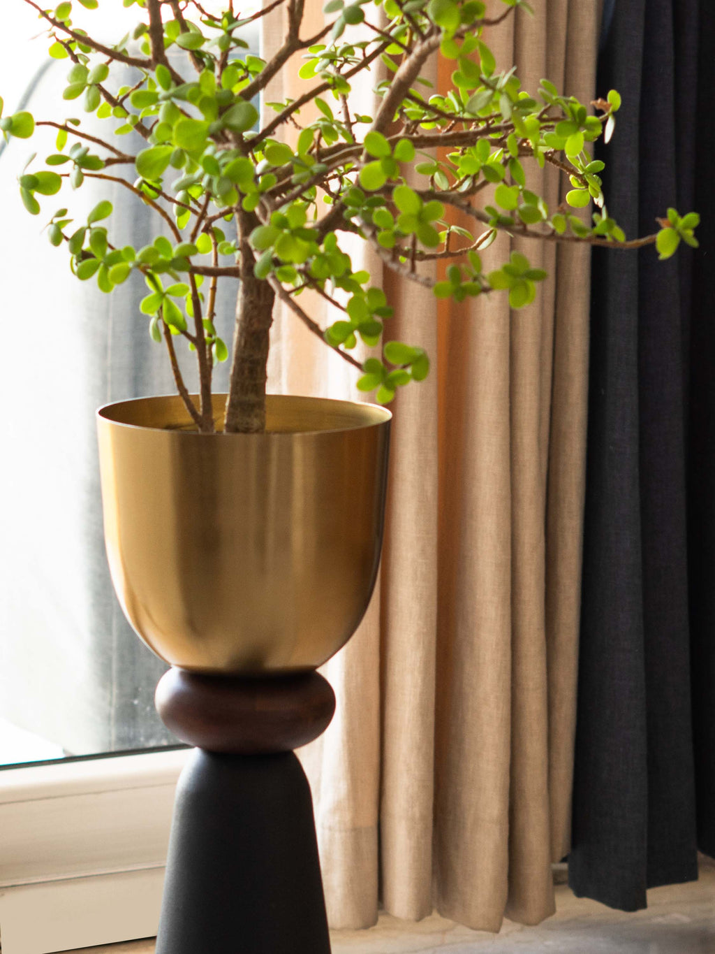 Perisi gold Mini Planter