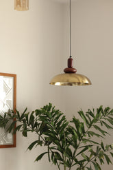 Brass & Wood Pendant Light 