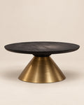 Perisi Bronze Coffee Table