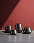 Riti Jars Set of 4