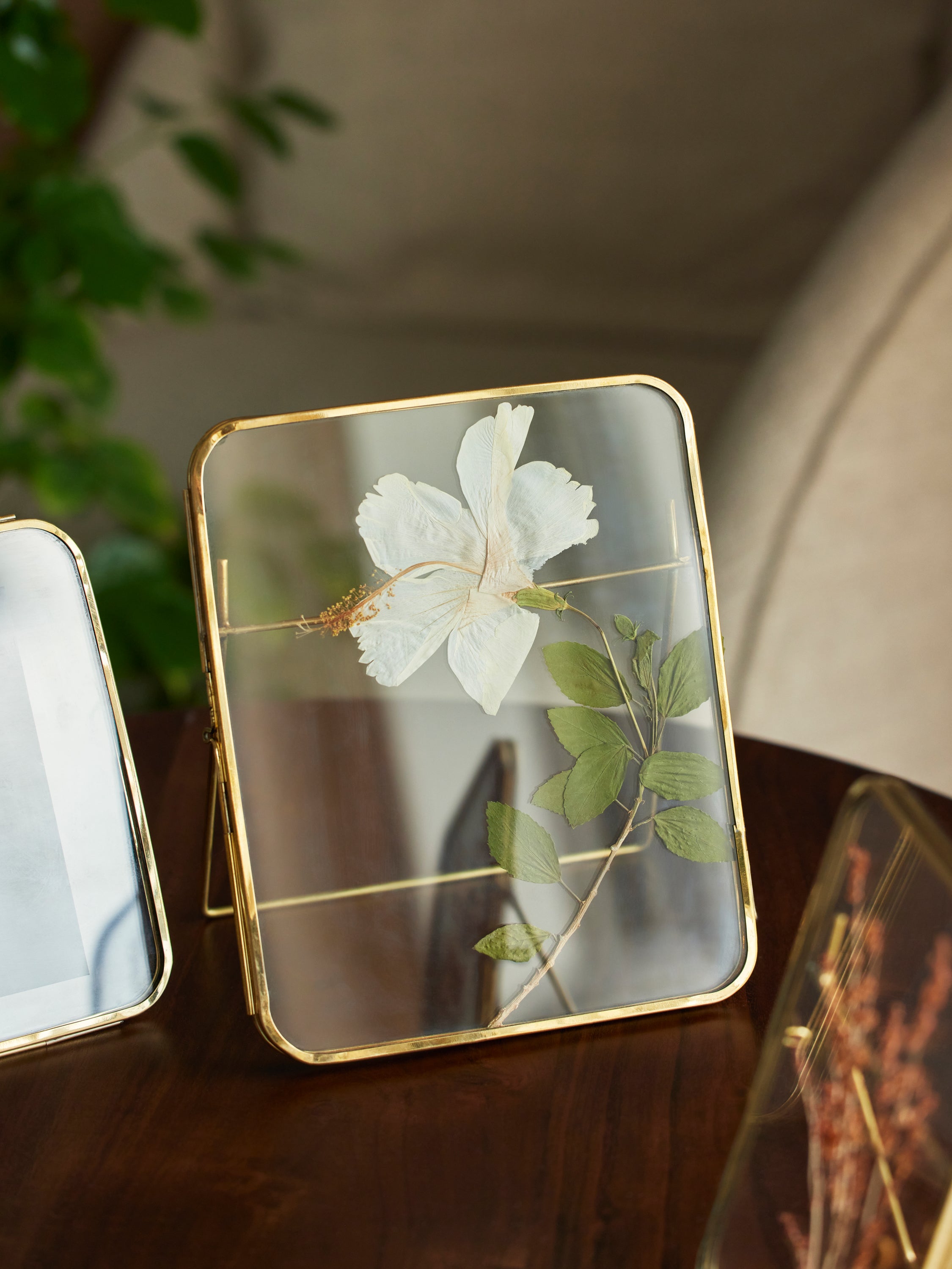 Rounded Photo Frames, Portrait – Fleck
