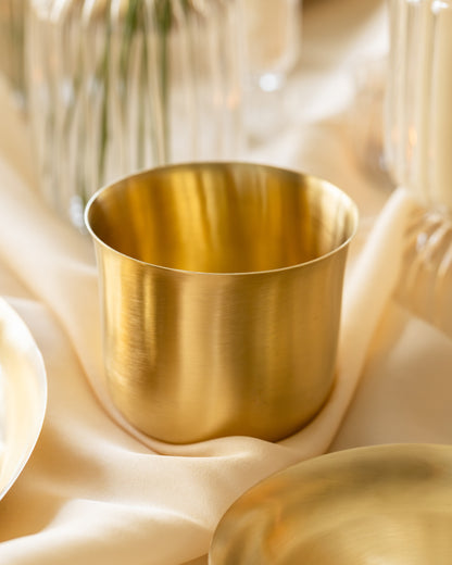 Turtle Brass Tumbler , Set of 2