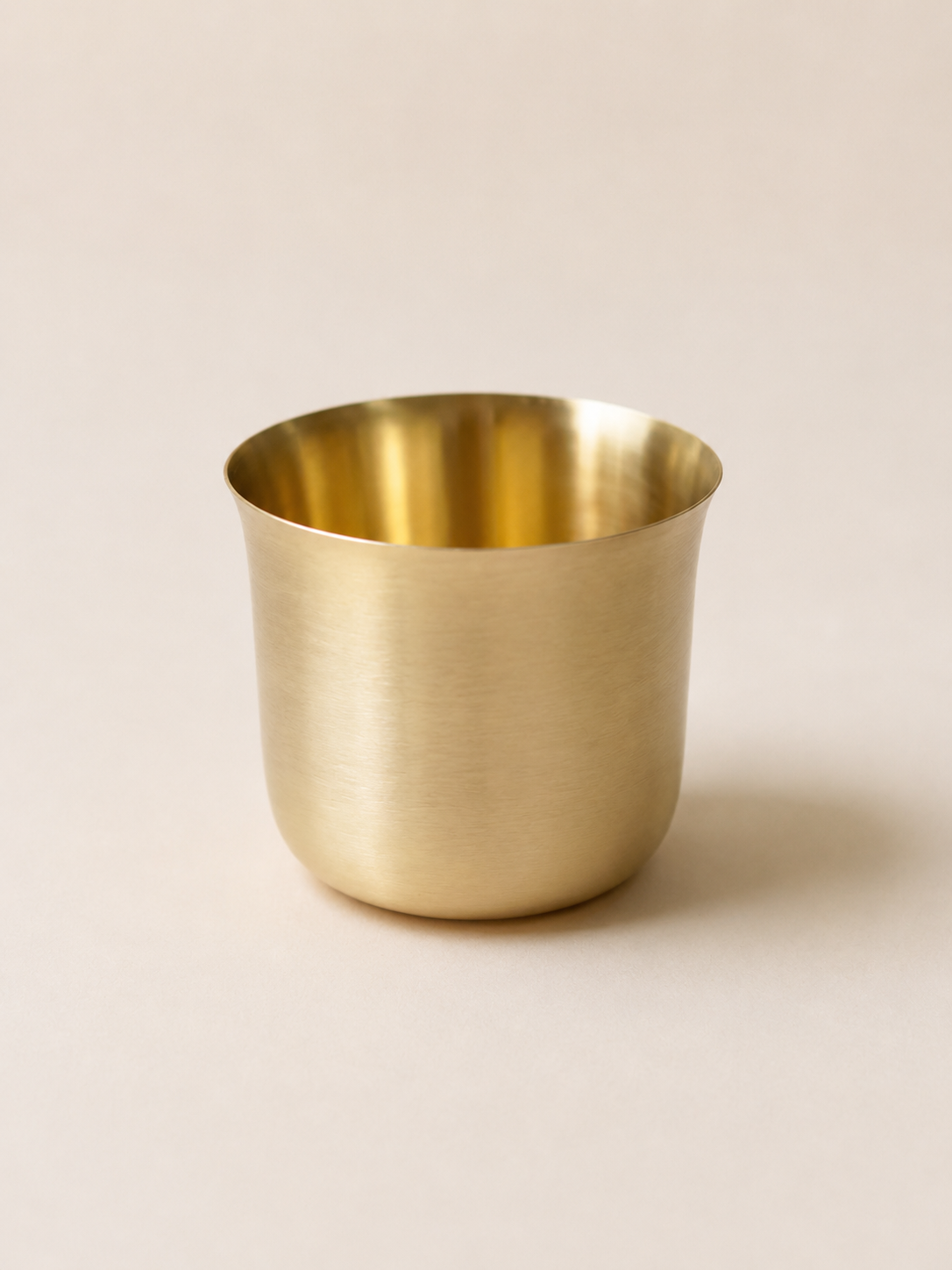 Turtle Brass Tumbler , Set of 2