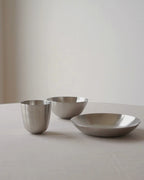Fuji Stainless Steel Pasta Plate, Set of 2