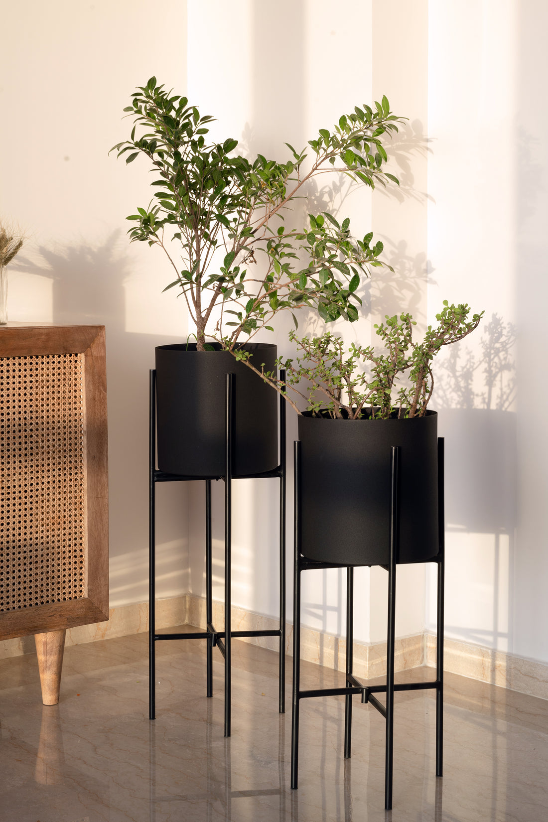 Black Dust Floor Indoor Planters - Fleck
