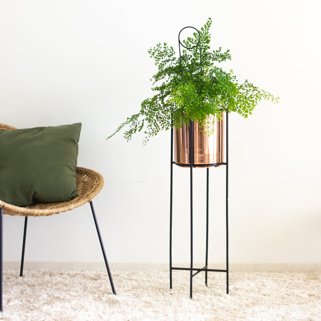 Marigold copper planters in a living  room with fern plant 